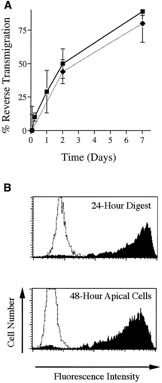 Fig. 1. Basal-to-apical transendothelial migration of MP. (A) Unstimulated endothelial cells grown on collagen were incubated with PBMC for 2 hours, then rinsed to remove nonadherent cells. Some cultures were then processed for analysis; others were incubated further for as long as 7 days. Two methods were used to analyze reverse transmigration experiments: visual enumeration of MP beneath endothelial monolayers using Nomarski interference optics (filled squares) and assessment of MP content in cultures using the DNA-binding dye Yo-Pro-1 (filled diamonds). Percent reverse transmigration is defined as the percentage decrease in the number of MP beneath the endothelium, relative to the number of subendothelial MP at 2 hours. (B) Some cultures were prepared that contained FITC-conjugated beads embedded in the collagen. Using flow cytometry, the uptake of these beads by MP that migrated into the collagen was assessed at 24 hours, after the cells were removed from the collagen with collagenase, and compared to the extent of beads associated with MP that accumulated in the apical compartment of parallel cultures between 24 and 48 hours of incubation. Profiles represent histograms from a representative experiment of MP collected from fluorescent bead–containing cultures (shaded) or MP from cultures without beads (unshaded).