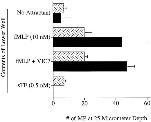 Fig. 6. Chemotaxis assay using soluble TF and anti-TF MoAb. Lower wells of blind-well chambers were filled with control medium (No Attractant) or medium containing 10 nmol/L FMLP, 10 nmol/L FMLP + 10 μg/mL anti-TF MoAb VIC7, or 0.5 nmol/L soluble TF. Reverse-transmigrated MP collected from the apical aspect of 24-hour cocultures with endothelium were resuspended in control medium with or without added VIC7 (VIC7 was included in the apical compartment when it was also used in the basal compartment) and added to the upper chamber of chemotaxis wells. Stippled bars depict results obtained using uncoated 5.0-μm cellulose nitrate filters; solid bars show results using 8.0-μm collagen-coated filters. Data are representative of six experiments.