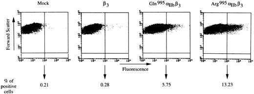 Fig. 3. Detection of the IIbβ3complex at the Cos-7 cell surface using flow cytometry. Surface expression of the IIbβ3 complex was analyzed using EDU-3, an MoAb specific for the complex, and an anti-mouse IgG coupled to FITC as described in Materials and Methods. Fluorescence intensity (log) is on the abscissa and forward scatter constitutes the ordinate. The limit of positivity is represented by a vertical bar and was defined as described in Materials and Methods. The percentage of positive cells corresponded to the percentage of cells where fluorescence was above this limit and was determined for 10,000 cells analyzed for each transfection.