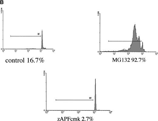 Fig. 2. Effect of proteasome inhibitors on normal lymphocytes. (A) Effects on normal lymphocytes. Isolated peripheral blood lymphocytes from normal donors were incubated in the presence of 10 μmol/L MG132 or 10 μmol/L methylprednisolone with or without 25 μmol/L zAPFcmk for 16 hours, and apoptosis was assessed by PI staining and FACS analysis. Results of one experiment are representative of three independent replicates. (B) Effects on hematopoietic progenitor cells. G-CSF–mobilized CD34+CD45+ progenitor cells were incubated in the absence or presence of 25 μmol/L zAPFcmk or 10 μmol/L MG-132 and DNA fragmentation was measured after 16 hours by PI staining and FACS analysis.