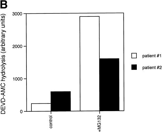 Fig. 3. Caspase activation by proteasome inhibitors. (A) Cleavage of the caspase substrate, PARP, by treatment with proteasome inhibitor. Cells were treated with either 10 μmol/L methylprednisolone, 25 μmol/L zAPFcmk, or various doses of MG132. PARP was detected by immunoblotting. Intact (p116) and fragmented (p85) forms of PARP are indicated by arrows. (B) Effect of MG132 on DEVDase activity. Cells were treated in the absence or presence of 10 μmol/L MG132 for 8 hours, and hydrolysis of the caspase substrate DEVD-AMC was measured in a spectrofluorimeter. Results are from two experiments with independent patient isolates. Cells treated with 10 μmol/L BDcmk, a caspase inhibitor, did not show DEVDase activity more than 50 U above baseline levels. DNA fragmentation from these patients was measured in parallel. These patients are not included in Table 1. Patient no. 1: control = 18.0, MG132 = 96.9; patient no. 2: control = 1.4, MG132 = 32.5. (C) Activation of caspase-3 by proteasome inhibitor. Cells were treated with either 25 μmol/L zAPFcmk, 10 μmol/L MG132, or 10 μmol/L methylprednisolone for 16 hours and procaspase-3 was detected by immunoblotting. Results of one experiment representative of three replicates with independent patient isolates.