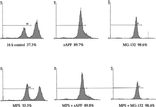 Fig. 5. Effects of proteasome inhibition on mitochondrial membrane potential. Cells were incubated in the absence or presence of 10 μmol/L methylprednisolone with or without 25 μmol/L zAPFcmk or 10 μmol/L MG132. Mitochondrial membrane potential was assessed by the potential sensitive fluorochrome JC-1 and quantitated by FACS analysis.
