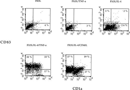 Fig. 1. Two-color dot plot of cultured cells labeled with CD83-PE (y-axis) and CD1a-FITC (x-axis). Adherent PBMNC were cultured with the indicated combinations of cytokines or CD40L for 7 days, and cell surface phenotype was examined by flow cytometry. The numbers indicate the percentage of cells in each quadrant. Data are presented from one representative experiment out of three.