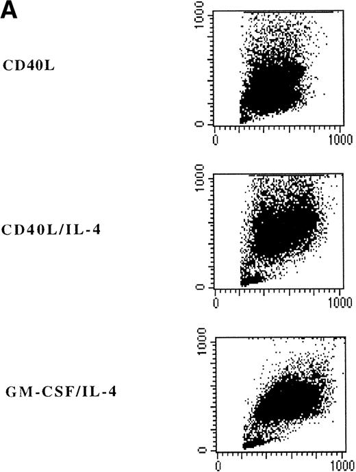 Fig. 3. Phenotypic analysis of in vitro–generated DC. PBMNC were cultured in presence of CD40L, CD40L/IL-4, or GM-CSF/IL-4. Dot plots (A) show the forward- and side-scatter profiles of the cells. Histograms (B) show expression of indicated cell surface molecules after 7 days of culture. Solid histograms: labeling with isotype matched irrelevant MoAb.