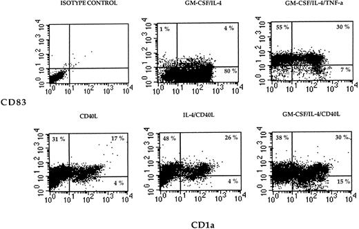 Fig. 4. Two-color cytograms of cultured cells labeled with CD83-PE (y-axais) and CD1a-FITC (x-axis). Adherent PBMNC were cultured with the indicated combinations of cytokines or CD40L for 7 days, and cell surface phenotype was examined by flow cytometry. The numbers indicate the percentage of cells in each quadrant.