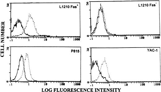 Fig. 2. Flow cytometric analysis of tumor targets for the expression of Fas. Tumor cell lines were stained with isotype control (bold histograms) or anti-Fas MoAbs (broken histograms), followed by FITC-conjugated secondary antibodies and analyzed flow cytometrically.