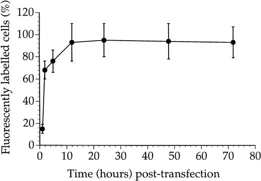 Fig. 2. Ribozyme uptake kinetics in JMML cells. The cells were transfected with two types of liposomes, one containing the ribozyme Rzd (1 μmol/L) and one containing a 20-nucleotide fluorescein-labeled oligonucleotide (0.2 μmol/L). Samples were taken at various time points and cell-associated fluorescence was analyzed with flow cytometry. Values are the means ± SEM from triplicate measurements of JMML cells taken from 1 patient and representative of the 2 other patients.