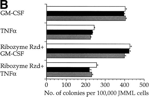 Fig. 6. Inhibition of colony formation of JMML cells supplemented with ribozymes. JMML cells were plated for 2 weeks either alone (none), with only liposomes (DOTAP), or with ribozymes (Rzd/Rzdm). (A) The ribozyme Rzd markedly reduced JMML cell colony formation, whereas the ribozyme mutant Rzdm had less pronounced effects. (B) Exogenous supply of either GM-CSF (10 ng/mL) or TNF (10 ng/mL) abolished the inhibitory effect of Rzd and profoundly increased JMML cell colony numbers. Triplicate measurements were made from each of the 3 patients, and the obtained median values were used to calculate the mean + SEM shown. Note the different abscissa values in (A) and (B). (░) Patient no. 1; (▪) patient no. 2; (□) patient no. 3.