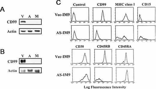 Fig. 3. Generation of CD99-deficient IM9 cells and immunophenotyping. (A) Immunoblot and (B) Northern blot analyses of CD99-deficient IM9 cells. IM9 cells were transfected with either vector or antisense CD99 expression construct. The Vec-TF (V), AS-TF (A), and Mut-IM9 cells (M) were examined for CD99 expression. Actin was tested as an internal control. (C) Immunophenotypic analysis of AS-TF cells. The cells were first stained with control MoAb or with relevant primary MoAbs, and then with FITC-conjugated goat anti-mouse IgG antibody.