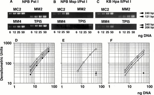 Fig. 6. Determination of methylation status of the MDR1promoter region by quantitative PCR analysis. Genomic DNA isolated from either NPB (A, B, D, E) or KB 3-1 cell line (C, F) was digested withPst I (A, D), Msp I/Pst I (B, E), orHpa II/Pst I (C, F), respectively, serially diluted, and amplified by PCR. (A, B, and C) The ethidium bromide stain after electrophoresis of PCR products in a 2% agarose gel. The gel was analyzed with NIH image, and plotted as a graph (D, E, F). The corresponding region and size of PCR products for the primer pairs MM2, MM4, MC2, and TPI5 were the MDR1 promoter containing MspI/Hpa II sites (Fig 1) and 121 bp; MDR1 promoter containing Msp I/Hpa II sites (Fig 1), 206 bp;MDR1 promoter containing no Msp I/Hpa II site (Fig 1), 240 bp; and triosephosphate isomerase gene promoter containingMsp I/Hpa II sites, 240 bp, respectively. The results for PCR primer pairs MM2, MM4, MC2, and TPI5 were plotted by (◊), (○), (□), and (•), respectively.