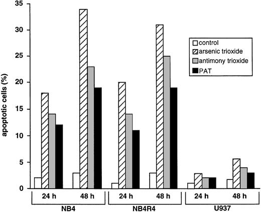Fig. 5. Comparison of the apoptotic potential of As2O3 and antimonials on RA-sensitive and -resistant APL cells and U937 cells. NB4, NB4R4, or U937 cells were incubated for 24 or 48 hours with 1 μmol/L As2O3, 1 μmol/L Sb2O3, or 1 μmol/L PAT, and the percentage of apoptotic cells was determined by Hoechst 33258 staining. Untreated cells were used as control.