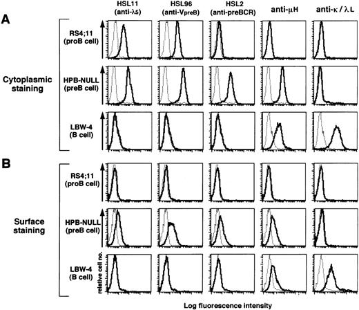 Fig. 2. Flow cytometric analysis of human B-lineage cell lines with the MoAbs. A pro–B-cell line RS4;11, a pre–B-cell line HPB-NULL, and a B-cell line LBW-4 were stained by the indicated MoAbs in the cytoplasm (A) and on the cell surface (B). For cytoplasmic staining, 0.05% of saponin was added to the staining buffer. Cells were first incubated with the MoAbs and then with PE–anti-mouse κL chain antibody. The fluorescence intensity of the stained cells was analyzed by a flow cytometer. The thin dotted-line histograms indicate control staining with an isotype-matched control MoAb whereas the thick solid-line histograms indicate staining with MoAbs specific to λ5, VpreB, pre-BCR, μH chain, κL chain, or λL chain. All data including other cell lines are summarized in Table 1.