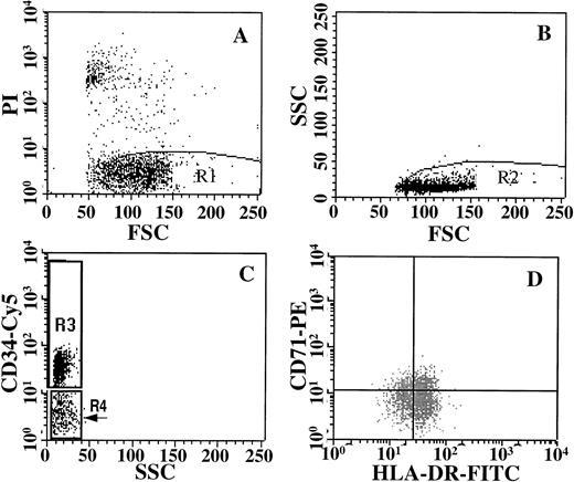 Fig. 1. Purification strategy for isolating cells stained with CD34/CD71 and HLA-DR. Live cells were gated on the basis of PI staining (A), and these cells were then gated on the basis of low side scatter (B). Subsequently, cells were gated for expression of CD34-Cy5, into CD34+ (R3) or CD34− (R4) windows (C). The CD34+ cells in R3 were then sorted on the basis of their expression of CD71-PE and HLA-DR-FITC (D). Sort gates for C and D were set up to exclude 100% of the cells in an isotype control.