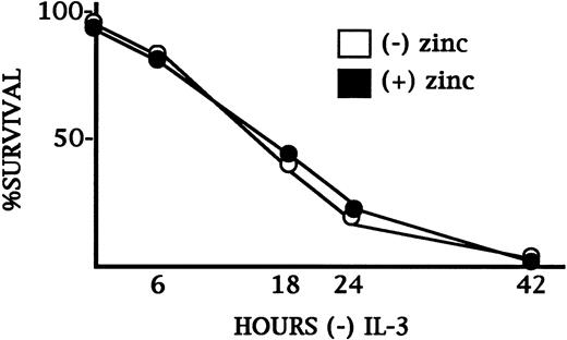 Fig. 2. CBFβ-SMMHC does not slow the rate of cell death resulting from IL-3 withdrawal in Ba/F3 cells. MTINV-3 cells were cultured ± zinc chloride for 18 hours. They were then washed three times with PBS and cultured without IL-3. Cells initially exposed to zinc were continued in zinc. At 0, 6, 18, 24, and 42 hours an aliquot of cells from each culture was analyzed for the proportion of surviving cells by PI staining and FACScan analysis. Mean results from duplicate experiments are shown. Standard errors (SEs) were smaller than the data points depicted.
