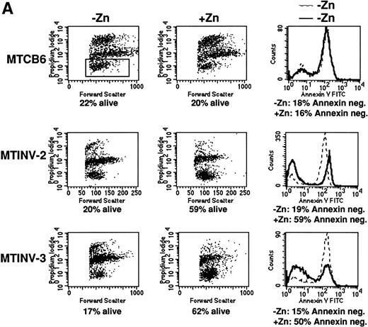 Fig. 3. CBFβ-SMMHC slows apoptosis in Ba/F3 cells exposed to IR or VP-16. (A) MTCB6, MTINV-2, or MTINV-3 cells were cultured in the absence or presence of zinc for 18 hours. The cells were then removed from IL-3 and irradiated to 10 Gy, and 6 hours later the cells stained with PI and FITC-Annexin V and subjected to FACScan analysis. After irradiation, cells initially in zinc were continued in zinc. Data from a typical experiment are shown. The cluster of cells that excluded PI and was determined to be alive is boxed in the upper left panel. (B) The proportion of parental Ba/F3, MTCB6, MTINV-2, or MTINV-3 cells surviving 10 Gy or IR followed by culture in the absence of IL-3 for 6 hours, surviving 8 μg/mL VP-16 for 6 hours in the absence of IL-3, or surviving 3 μg/mL VP-16 for 18 hours in the presence of IL-3 are shown. Ratios of the proportion of cells surviving in the presence of zinc to the proportion of cells surviving in the absence of zinc were calculated for each cell line in each experiment. Results shown are the mean and SE from three experiments.
