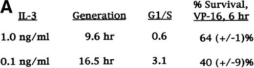 Fig. 5. Ba/F3 cells cultured in reduced IL-3 had a slowed G1 to S transition, but did not have reduced p53 induction or increased survival in response to VP-16. (A) Parental Ba/F3 cells were cultured in 1.0 ng/mL IL-3, which allows optimum growth, or in 0.1 ng/mL IL-3. After 48 hours, cell generation time was determined by enumerating the number of viable cells present in the cultures on subsequent days. To determine the ratio of the proportion of cells in G1 phase to the proportion of cells in S phase (G1/S), the cells were exposed to 30 μmol/L BrdU for 30 minutes, fixed, stained with anti–BrdU-FITC and PI, and subjected to FACScan analysis. The proportion of cells surviving exposure to 8 μg/mL VP-16 for 6 hours was determined as in Fig 3. (B) Ba/F3 cells cultured in 1.0 ng/mL or 0.1 ng/mL IL-3 for 48 hours were continued in cultured ± 8 μg/mL VP-16 for 150 minutes. Total cellular protein extracts were then obtained and subjected to Western blot analysis for p53.