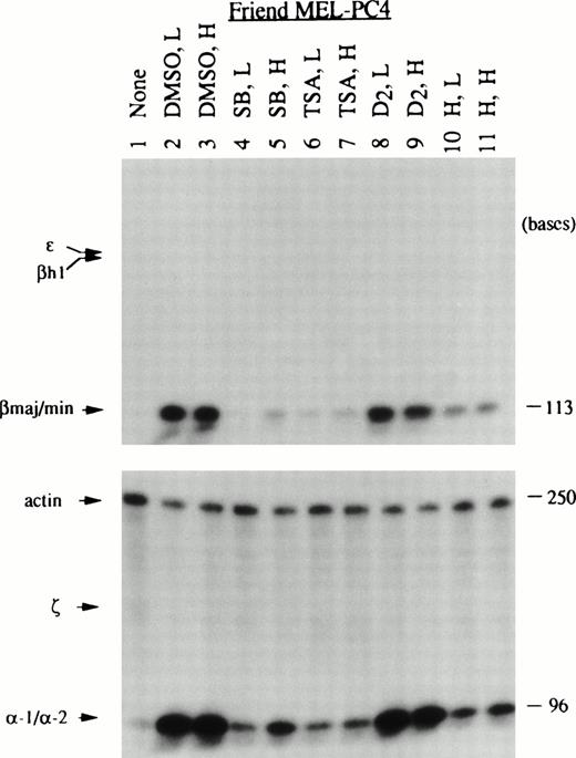 Fig. 3. Globin mRNA species induced in Friend MEL745-PC4 cells by various chemical inducers analyzed by RNase protection assays. Treatment of cells with chemical inducers, RNA preparation, and RNase protection assays are described in Materials and Methods. The concentrations of agents used (L for low and H for high) are as listed in Table 2. The abbreviations of the inducers used are given in the legend of Table 2. Each RNA sample (10 μg) was hybridized separately with a mixture of ɛ, βh1, and βmaj/min probes and with a mixture of ζ, -1/-2, and actin probes as in Fig 2.