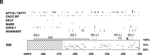 Fig. 1. Analysis of the upstream region of the mouse β-globin LCR. (A) Map of the 5′ HS 4, 5 and 6 region. Upper solid black line represents the 5′ HS 4, 5, and 6 region and restriction enzyme sites used for HS mapping. Alignment: boxes with diagonal cross hatch represent regions that can be aligned with the human locus using the program yama2. Homology: boxes with vertical hatch represent regions with >40% identity with human and are a more stringent gauge of homology. HSs: arrows show HSs and their relative intensity. Mouse HSs are placed relative to the mouse map, whereas human HSs are placed relative to the homologous regions of the mouse sequence. The numbers above the arrows are the map positions relative to the Ey cap of the mouse HSs. Bottom diagram represents the targeting construct that deletes HS 5, HS 6 and the region of homology to human HS 5. Arrows and black stripes represent loxP sites that flank the construct. Restriction enzyme sites: S- SphI, H- HpaI, X- XbaI. (B) Sequence features in the 5′ HS 4, 5, and 6 region. Regions that each HS maps to are represented by open rectangles. L1 and B2 repeat elements are represented by a gray rectangle and triangle, respectively. The black bar represents the region deleted by homologous recombination. The striped line represents the thymidine-rich tract. Below the map is a PIP of the mouse-human comparison of the region. The percent identity in each gap-free aligning segment is plotted using coordinates of the mouse sequence with the cap site of the Ey gene being +1. Cross hatching indicates the region for which no human sequence is available for comparison. The lines above the map show sequence features as noted below. In each case short lines mark any occurrence of the specified sequence and tall lines mark sites that are conserved between mouse, human, and galago. Invariant: blocks of at least 7 bp that are invariant in mouse, human, and galago. GATA-1: sites matching the consensus WGATAR. MARE: sites matching the Maf-associated response element consensus TGASTCA. Several basic leucine zipper proteins contain this motif in their consensus binding sequence including NFE-2, AP-1, and LCRF1/Nrf1. EKLF: sites matching the consensus CCNCNCCC. BKLF also has been shown to bind this consensus. CACC BP: sites matching the consensus CACC, a sequence motif common to Krüppel-like Zn finger proteins such as Sp1 and EKLF. ATTTA/TATTT: sites matching the specified sequences.
