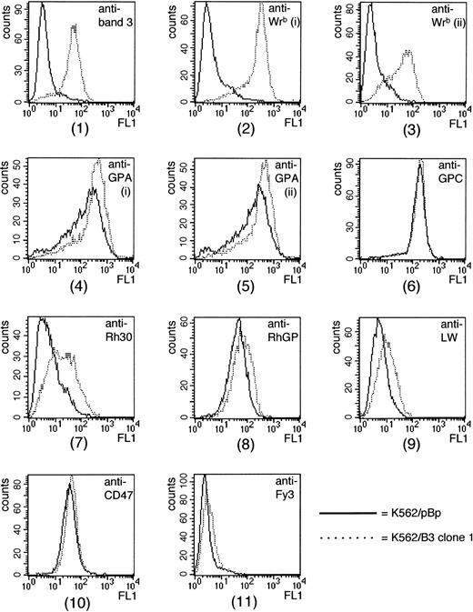 Fig. 1. FACS analysis of K562/pBp and K562/B3 clone 1. All data are from Table 1, day 1. Antibodies used in each histogram were (1) BRIC 6, anti–band 3; (2) BRIC 14, anti-Wrb; (3) BRIC 201, anti-Wrb; (4) R10, anti-GPA; (5) R18, anti-GPA; (6) BRIC 4, anti-GPC; (7) BRIC 69, anti-Rh30; (8) LA18.18, anti-RhGP; (9) BS46, anti-LW; (10) BRIC 126, anti-CD47, and (11) CBC-512, anti-Fy3. GPA, glycophorin A; GPC, glycophorin C; Rh30, Rh polypeptides; RhGP, Rh glycoprotein.