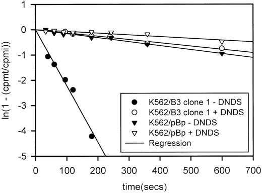 Fig. 4. Chloride efflux in K562 clones at 20°C. The gradients of linear regression lines are equivalent to efflux rate constants (okCl−). r2 values are K562/B3 clone 1 − DNDS, .97; K562/B3 clone 1 + DNDS, .96; K562/pBp − DNDS, .98; K562/pBp + DNDS, .88. The rate constant for band 3–mediated efflux in K562/B3 clone 1 was calculated as the difference between the rate constants for K562/B3 clone 1 − DNDS and K562/pBp − DNDS.