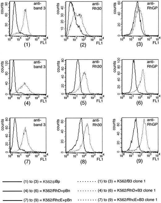 Fig. 5. FACS analysis of K562 clones transfected with cDNAs corresponding to Rh and/or band 3. (1) to (3) are data for K562/pBp and K562/B3 clone 1, Table 1, day 1. (4) to (6) are data for a K562/RhD+pBn clone (with expression levels close to the calculated average) and K562/RhD+B3 clone 1; all data are from Table 4. (7) to (9) are data for a K562/RhcE+pBn clone (with expression levels close to the calculated average) and K562/RhcE+B3 clone 1; all data are from Table 4. Antibodies used were: BRIC 6 (anti–band 3) in histograms 1, 4, and 7; BRIC 69 (anti-Rh30) in histograms 2, 5, and 8; LA18.18 (anti-RhGP) in histograms 3, 6, and 9. Rh30, Rh polypeptides; RhGP, Rh glycoprotein.