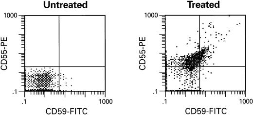 Fig. 4. Deficient monkey RBCs were incubated with RBC microvesicles for 2 hours. Treated cells were then washed with PBS and stained with CD55-PE and CD59-FITC.