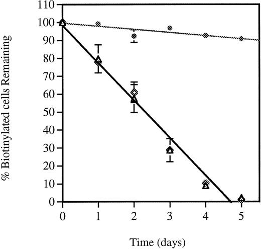 Fig. 1. Survival of in vivo biotinylated wild-type and P-selectin–deficient platelets. Blood from mice of both genotypes was in vivo biotinylated as described in Materials and Methods. The percentage of biotinylated cells present at various time intervals after biotinylation was determined by flow cytometry. Because the absolute levels of biotinylated platelets varied among mice, the least square-fitted curve for each mouse was normalized with respect to their value at time zero (% of biotinylated platelets and red blood cells at time zero = 100). Each curve represents a composite curve and linear fit (r = 0.99) for the data of eight mice in each genotype. Superimposed curves were obtained with wild-type (P-sel+/+) (△) and P-selectin–deficient (P-sel-/-) (◊) platelets with a mean life span of 4.72 ± 0.32 and 4.71 ± 0.3 days, respectively. Red blood cells from wild-type animals (◍) were used as a control for the stability of the biotinylation.
