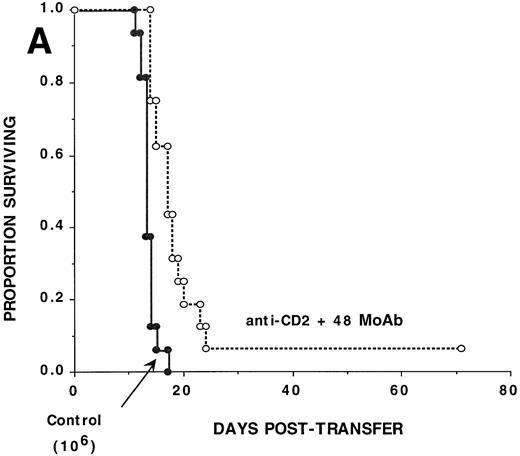 Fig. 1. Anti-CD2 + 48 MoAb is ineffective in preventing GVHD-induced lethality by donor CD8+ T cells infused into sublethally irradiated recipients. Sublethally irradiated bm1 (A) or bm12 (B) recipients were administered the indicated number of highly purified CD8+ or CD4+B6 LN cells as shown in parentheses on day 0. Mice received either irrelevant IgG or CD2 + 48 MoAb (300 μg/dose each) IP twice weekly from days −1 through +21 posttransfer. On the x-axis are the days posttransfer and on the y-axis is the proportion of mice surviving. The survival data are plotted. Results from two (A, n = 16/group) or three (B, n = 24/group) replicate experiments with similar results are pooled. Mice administered CD2 + 48 MoAb had a significantly (P = .002) higher actuarial survival rate as compared with controls.