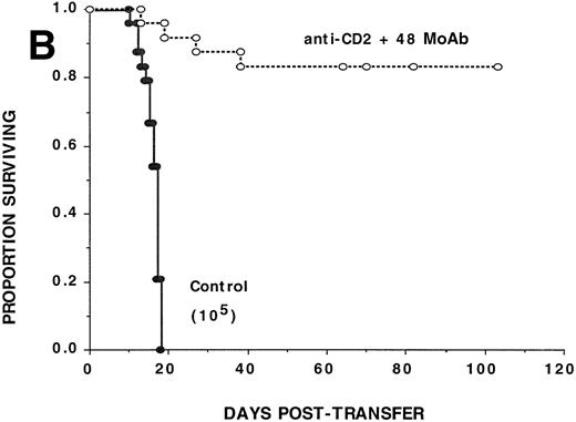 Fig. 1. Anti-CD2 + 48 MoAb is ineffective in preventing GVHD-induced lethality by donor CD8+ T cells infused into sublethally irradiated recipients. Sublethally irradiated bm1 (A) or bm12 (B) recipients were administered the indicated number of highly purified CD8+ or CD4+B6 LN cells as shown in parentheses on day 0. Mice received either irrelevant IgG or CD2 + 48 MoAb (300 μg/dose each) IP twice weekly from days −1 through +21 posttransfer. On the x-axis are the days posttransfer and on the y-axis is the proportion of mice surviving. The survival data are plotted. Results from two (A, n = 16/group) or three (B, n = 24/group) replicate experiments with similar results are pooled. Mice administered CD2 + 48 MoAb had a significantly (P = .002) higher actuarial survival rate as compared with controls.