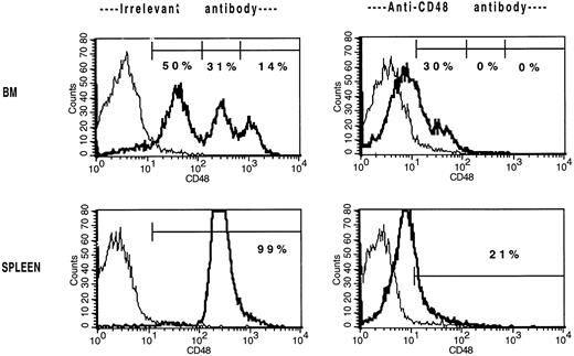 Fig. 5. The in vivo infusion of CD48 MoAb in non-BMT B6 mice shifts the BM and splenic populations toward a CD48low or CD48neg phenotype. Non-BMT B6 control mice received irrelevant MoAb or CD48 MoAb (300 μg) on days 0, 3, and 7. On day 9, cells were stained for CD48 expression and then analyzed by FACS. Isotype-matched control MoAb was used to set gates. For BM, CD48 expression was segregated into three antigen density levels. The percent of cells falling within each antigen density level is listed. For spleen, the isotype-matched control MoAb is shown in the thin line and the CD48 MoAb staining in the heavy line. A representative overlay histogram from three individually analyzed mice per group at each time point are shown. The percentages indicate the percent of positive cells in the gate shown. The complete data are tabulated in Table 6.