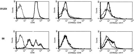 Fig. 6. Analysis of modulation and coating of the CD48 antigen induced by the ex vivo incubation of splenocytes or BM cells with CD48 MoAb. Single-cell suspensions of spleen (top panels) and BM (bottom panels) from non-BMT B6 control mice were incubated with CD48 MoAb (CD48aby) (20 μg/mL) for 30 minutes on ice. Cells were washed and then incubated with goat anti-hamster FITC (anti-H) or CD48-FITC (CD48). The thin lines are the isotype-specific negative control MoAb staining and the dark lines are the staining with either CD48-FITC or anti-hamster FITC. The proportion of CD48hiBM cells and splenocytes was markedly reduced after CD48 MoAb. Only a low proportion of BM or spleen cells exposed to CD48 MoAb bound goat anti-hamster IgG FITC.