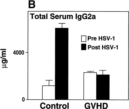 Fig. 3. GVHD splenocytes proliferated poorly in response to LPS, and GVHD mice failed to generate increased total serum IgG2a and specific anti–HSV-1 IgG2a after viral inoculation. (A) Spleen-cell proliferative response to LPS or medium alone was measured. Representative B-cell numbers show that control and GVHD mice had similar B-cell numbers. The experiment shown is representative of four similar experiments. (B) Total serum immunoglobulin levels were measured by radial immunodiffusion before and 2 weeks following HSV-1 infection. Preinfection and postinfection serum results are shown. Each mouse group consists of three mice, and the mean and SEM are shown. This experiment is representative of three similar experiments. Significant differences (P < .05, t-test) are detected between total serum IgG2a levels in control group and the GVHD group after HSV-1 infection. (C) Serum levels of specific anti–HSV-1 IgG2a were determined by ELISA. The data shown are the mean and SEM of five similar experiments that included 15 mice. The IgG2a level of the GVHD group is significantly decreased compared with the IgG2a level of control mice (P < .05, t-test).