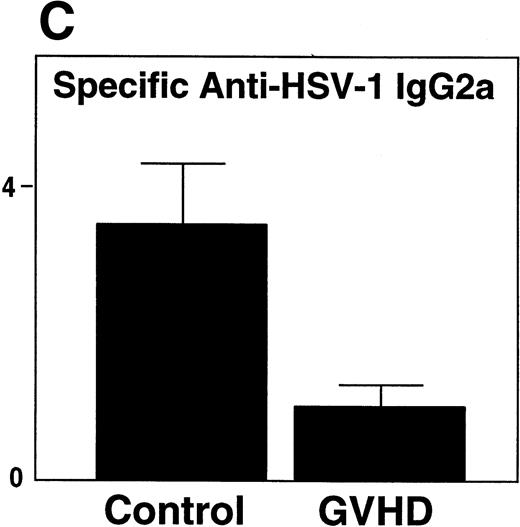 Fig. 3. GVHD splenocytes proliferated poorly in response to LPS, and GVHD mice failed to generate increased total serum IgG2a and specific anti–HSV-1 IgG2a after viral inoculation. (A) Spleen-cell proliferative response to LPS or medium alone was measured. Representative B-cell numbers show that control and GVHD mice had similar B-cell numbers. The experiment shown is representative of four similar experiments. (B) Total serum immunoglobulin levels were measured by radial immunodiffusion before and 2 weeks following HSV-1 infection. Preinfection and postinfection serum results are shown. Each mouse group consists of three mice, and the mean and SEM are shown. This experiment is representative of three similar experiments. Significant differences (P < .05, t-test) are detected between total serum IgG2a levels in control group and the GVHD group after HSV-1 infection. (C) Serum levels of specific anti–HSV-1 IgG2a were determined by ELISA. The data shown are the mean and SEM of five similar experiments that included 15 mice. The IgG2a level of the GVHD group is significantly decreased compared with the IgG2a level of control mice (P < .05, t-test).