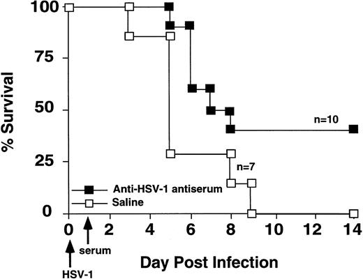 Fig. 4. Passive transfer of HSV-1 immune serum protected GVHD mice from HSV-1 mortality. GVHD mice were injected with hyperimmune HSV-1 serum or saline on the day following HSV-1 inoculation (2 × 108 pfu). Survival was monitored daily. Survival of the two groups was significantly different (Wilcoxon rank sum test, P= .03).