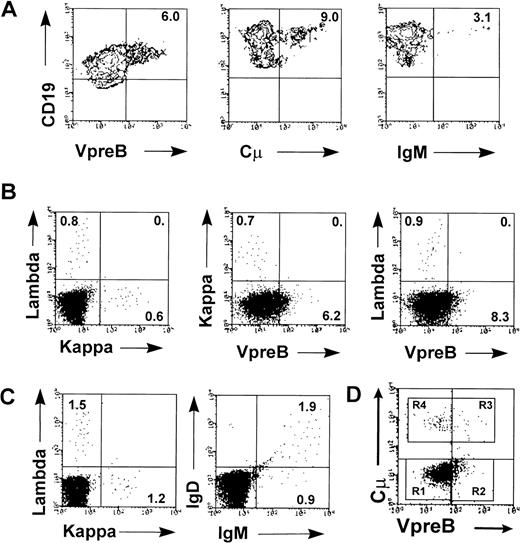 Fig. 2. Multiple B-progenitor cell subsets are represented in HB-LTC. Nonadherent cells from HB-LTC were collected at 6 to 8 weeks for FACS analysis. (A) Two-color analysis demonstrating the presence of HB-LTC CD19+ progenitors expressing surrogate light chain (VpreB), cytoplasmic μ (Cμ), or surface IgM. (B) Analysis demonstrating independent expression κ versus λ light chains and of VpreB versus κ or λ light chain. (C) Analysis demonstrating coexpression of IgM and IgD within HB-LTC immature IgM+B-cell population. (D) Example of three-color analysis of purified HB-LTC CD19+ progenitors showing staining of VpreB versus cμ. This analysis showed VpreB−cμ−IgM− (R1) progenitors; VpreB+cμ−IgM−(R2) and VpreB+cμ+IgM− (R3) subsets; and VpreB−cμ+IgM−and VpreB−cμ+IgM+ subsets (R4; IgM data not shown). Results are representative from more than eight independent experiments. Numbers indicate the percentage of cells in each quadrant.