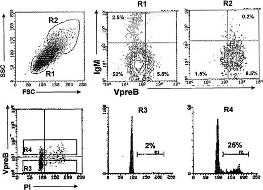 Fig. 3. The HB-LTC CD19+ VpreB+population is composed of predominantly large, cycling cells. B-lineage cells were separated from 8-week-old HB-LTC by positive selection using anti-CD19 magnetic beads and stained with anti-VpreB and anti-IgM antibodies and analyzed by flow cytometry. (A) (Left) Forward and side scatter analysis of total cell population showing gated R1 (smallest) or R2 (largest) cell populations. (Right) VpreB+ and VpreB− populations in gates R1 or R2, with numbers indicating the percentages of the total CD19+ cell population in each quadrant. (B) Cell cycle analysis of CD19+VpreB+ cells. CD19+ were stained with the anti-VpreB antibody before permeabilization and staining with propidium iodide for FACS analysis of DNA content versus surface VpreB expression (R3 = VpreB− and R4 = VpreB+ populations, respectively). Numbers indicate the relative percentage of cells in S/G2/M.