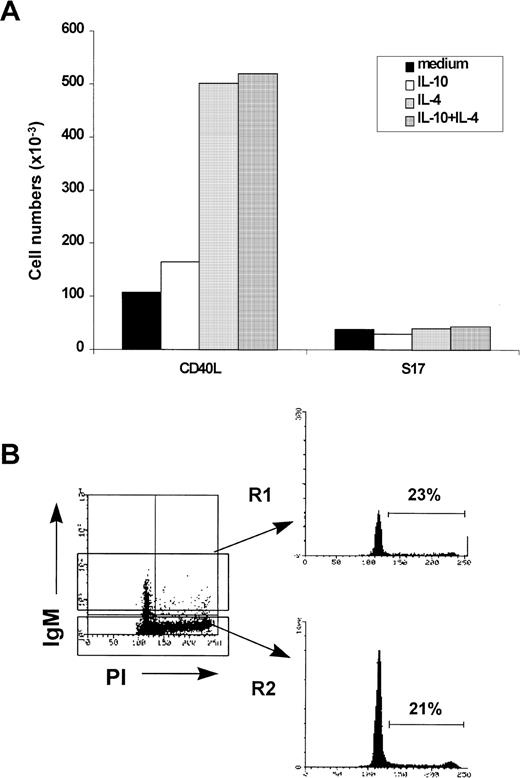 Fig. 5. CD40L culture enhances the proliferation of HB-LTC–derived CD19+ progenitors. A representative experiment in which CD19+ progenitors from an 8-week-old HB-LTC were seeded in microwells (105 cells/well) containing S17 stromal cells or CD40L fibroblasts in medium containing no added cytokines, IL-4, IL-10, or both cytokines. (A) Cell recovery was determined by trypan blue dye exclusion and expressed as the mean number of viable cells. (B) Cell cycle analysis of CD19+cells removed from the CD40L system. (Left) Dot plot of IgM versus DNA content analyzed by propidium iodide staining. (Right) Histogram illustrating DNA content in the IgM+ (R1) versus the IgM− (R2) populations. Numbers indicate the percentage of cells in S/G2/M.