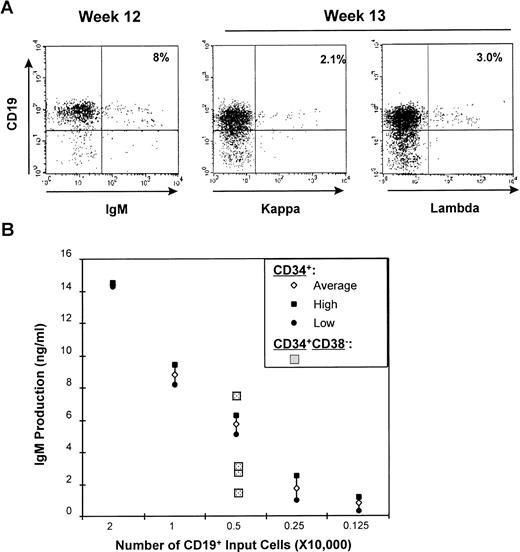 Fig. 6. HB-LTCs initiated with CD34+CD38− stem cells lead to production of IgM+ B cells capable of secreting of Ig after transfer to the CD40L system. HB-LTCs were established in microwells using FACS-sorted CD34+CD38− cord blood cells. (A) Total cultured cell populations (adherent and nonadherent cells) from independent wells were collected at weeks 12 and 13 and evaluated by FACS after gating on the lymphoid-sized population. (B) Decreasing numbers CD19+ cells from cultures initiated with either CD34+CD38+ (0.125 to 2 × 104 CD19+ cells/well) or CD34+CD38− input cells (5 × 103 CD19+ CD19+ cells/well; 4 independent wells shown) were transferred to CD40L system with IL-4 and IL-10. Production of IgM was evaluated by ELISA after 14 days. Results shown are representative of three independent experiments.