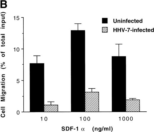 Fig. 2. Mobilization of calcium (A) and chemotaxis (B) of uninfected and HHV-7–infected SupT1 cells in response to SDF-1. HHV-7–infected cultures were analyzed at days 4 (A) or 6 (B) PI. (A) shows transient intracellular calcium flux in response to SDF-1 (40 ng/mL; top panels) or to ionomycin (100 ng/mL; bottom panels). Data are representative of three independent experiments. In (B), chemotaxis was analyzed by using Transwells after induction with the indicated concentration of SDF-1. Data are expressed as the percentage of input cells transmigrated. The mean ± SD of three independent experiments is shown.