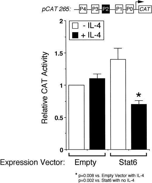Fig. 3. Stat6 inhibits transcription driven by the intact IL-4 promoter. pCAT 265, which contains all of the known NFAT P elements including the P2 Stat6 site (solid box), was transfected into unstimulated Jurkat cells together with a control (Empty) or a Stat6 expression vector, and the cells were incubated without (□) or with (▪) IL-4 (50 ng/mL) for 18 hours before assays for reporter gene expression by ELISA. Results are expressed relative to the constitutive activity of pCAT 265 without IL-4 and are the mean ± SEM of four independent experiments. IL-4 significantly downregulated promoter activity only in Stat6-cotransfected cells.