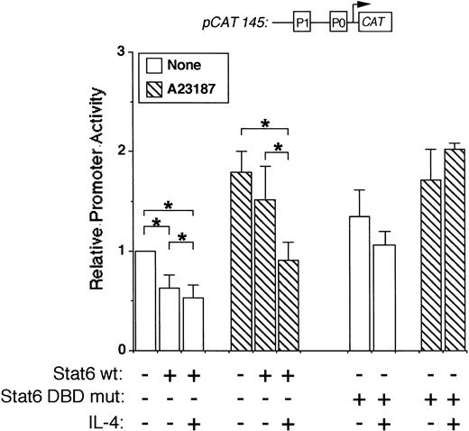 Fig. 5. Stat6 inhibits a minimal IL-4 promoter construct. Jurkat cells were cotransfected with a minimal promoter construct lacking the known P2 Stat6 element (pCAT 145) with or without a wild-type (wt) or DNA-binding domain mutant (DBD mut) Stat6 expression vector as indicated. Cells were stimulated for 18 hours with calcium ionophore (▧) with or without IL-4 as indicated, followed by cell lysis and analysis of reporter gene expression by ELISA. Results are expressed relative to CAT production in unstimulated cells and are the mean ± SEM of four (DBD mut) or seven (wt) independent experiments. *P< .05.