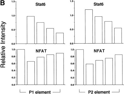 Fig. 8. Stat6 binds competitively with NFAT to the P1 and P2 elements. (A) The ability of a recombinant fragment of NFATp (see Materials and Methods) to bind oligonucleotide probes containing the P1 and P2 elements in the presence of increasing concentrations of recombinant Stat6 was determined by EMSA. The relative mobilities of each factor are indicated. Serial twofold dilutions of Stat6 were examined against a constant amount of NFATp. n.s., nonspecific. (B) The relative intensities of observed bands were analyzed by densitometry and expressed relative to intensity of the NFAT complex for each oligonucleotide in the absence of Stat6 (which was defined as 1).