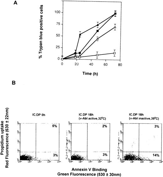 Fig. 1. Induction of apoptosis by withdrawal of IL-3 from IC.DP and IC2.9 cells. (A) Kinetics of cell death of IC2.9 cells (triangles) and IC.DP cells (squares) after withdrawal of IL-3 measured by trypan blue exclusion. Cells were maintained at either 32°C (open symbols) or 39°C (solid symbols). Data points are the mean value ± SEM of three repeated experiments. (B) Flow cytometric analysis of apoptosis in IC.DP and IC2.9 cells maintained at either 32°C or 39°C for 18 hours after withdrawal of IL-3 determined by binding of annexin V and uptake of propidium iodide. Results are representative of three repeated experiments.
