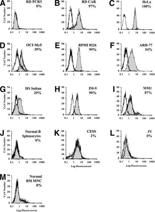 Fig. 1. Expression of CAR adenovirus receptor on HeLa cells; OCI-My5, RPMI 8226, ARH-77, HS Sultan, and IM-9 MM cells; patient MM1 cells; normal B splenocytes; CESS and JY EBV-transformed B cells; and normal BM MNCs. Cells (5 × 105/mL) were stained with RmcB anti-CAR MoAb (1:100) followed by 1 μL of FITC-conjugated goat (Fab′)2 antimouse IgG MoAb, or with 5 μL of FITC-conjugated mouse IgG1 (isotype control), and analyzed by indirect immunofluorescence flow cytometry. Cells examined included RD PCR3 (A; negative control) and RD CAR (B; positive control) cells; HeLa (C) cells, known to express adenovirus receptors; OCI-My5 (D), RPMI 8226 (E), ARH-77 (F), HS Sultan (G), and IM-9 (H) MM cells; patient MM1 (I) cells; normal B splenocytes (J); CESS (K) and JY (L) EBV-transformed B cells; and normal BM MNCs (M).
