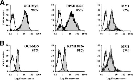 Fig. 3. Expression of vβ5 integrin and DF3/MUC1 on OCI-My5 and RPMI 8226 MM cells and on patient MM1 cells. OCI-My5 and RPMI 8226 MM cells and patient MM1 cells (5 × 105/mL) were stained with 1 μL of either vβ5 MoAb (A) or anti-DF3/MUC1 MoAb (B), followed by 1 μL of FITC-conjugated goat (Fab′)2antimouse IgG MoAb, or with 5 μL of FITC-conjugated mouse IgG1 alone (isotype control). The percentage of cells expressing these antigens was determined using indirect immunofluorescence flow cytometric analysis.