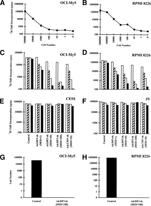 Fig. 5. Treatment with GCV to purge Ad.DF3-tk–transduced OCI-My5 and RPMI 8226 MM cells within BM MNCs. To construct standard curves for measuring residual viable tumor cell contamination after purging, OCI-My5 cells (A) or RPMI 8226 MM cells (B; 0 to 1 × 106 cells) were incubated in triplicate with 3H-TdR (1 μCi) for 12 hours, harvested, and analyzed on a β-counter. OCI-My5 (C) and RPMI 8226 MM cells (D; 2 × 105 cells) were mixed with γ-irradiated (2.0 Gy) normal BM MNCs (2 × 106 cells). BM MNCs containing tumor cells were transduced with Ad.DF3-tk at MOI = 1, MOI = 10, or MOI = 100 or with Ad.CMV-tk at MOI = 10 for 2 hours, washed out for 10 hours, and treated with GCV at 0 (□), 0.5 (▨), 5 (░), or 50 (▪) μmol/L for 36 hours. 3H-TdR incorporation was measured as described above and compared with that for nontransfected tumor cell in BM MNC controls. CESS (E) and JY (F) EBV-transformed B cells, which do not express adenoviral receptors, served as negative controls. All experiments were performed in triplicate. Log depeletion of OCI-My5 (G) and RPMI 8226 (H) MM cells with Ad.DF3-tk at MOI = 100 and 50 μmol/L GCV is shown.