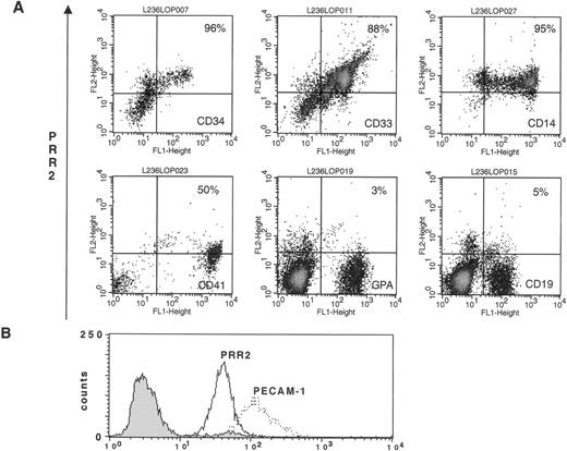 Fig. 1. Expression of PRR2 in human bone marrow cells and endothelial cells. (A) Bone marrow cells were doubled stained with the indicated MoAbs and the MoAb R2.477 as described in Materials and Methods. Fluorescence density plots were gated on specific regions defined on scatter plot. The bottom-left quadrant was defined according to an isotypic-matched control antibodies. The percentage represents the number of PRR2-expressing cells in each lineage. (B) FACS analysis of PRR2 and PECAM-1 expression in HUVEC. HUVEC were stained either with the MoAb R2.477 or the MoAb anti–PECAM-1. Each fluorescence distribution was superposed and compared with the background fluorescence distribution of an isotypic-matched control antibody.