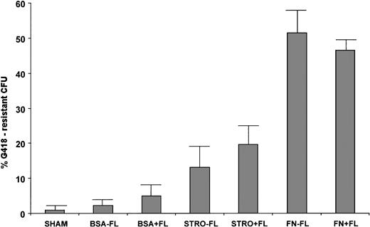 Fig. 1. Transduction of 14-day colony-forming progenitors. CD34+ progenitors from six normal human bone marrow samples were transduced in the presence of IL-3, IL-6, and SCF ± FL under the following conditions: BSA, in suspension culture over BSA-coated plates; STRO, on monolayers of irradiated allogeneic stromal cells; FN, on plates coated with the recombinant FN fragment CH-296 (Retronectin). After 72 hours and three additions of supernatant from the PG13/LN cell line, colony-forming assays were plated with and without the selective agent G418. Colonies were counted after 14 to 21 days growth. The percentages of transduction were calculated as (#G418-resistant CFU/# total CFU) × 100 = % G418-resistance.