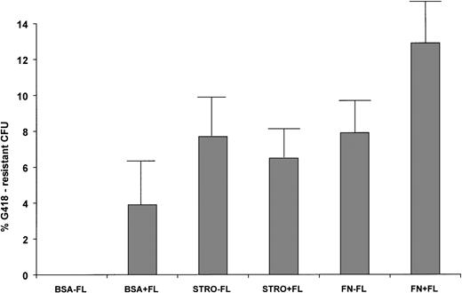 Fig. 2. Transduction of clonogenic human progenitors recovered from long-term engrafted bnx/hu mice. Human-specific CFU were plated ± G418 from the marrow of each mouse. CFU were plucked from the plates and subjected to PCR for the neo gene to confirm the presence of integrated vector. The percentages of transduction were calculated as (#G418-resistant CFU/# total CFU) × 100 = % G418-resistance.