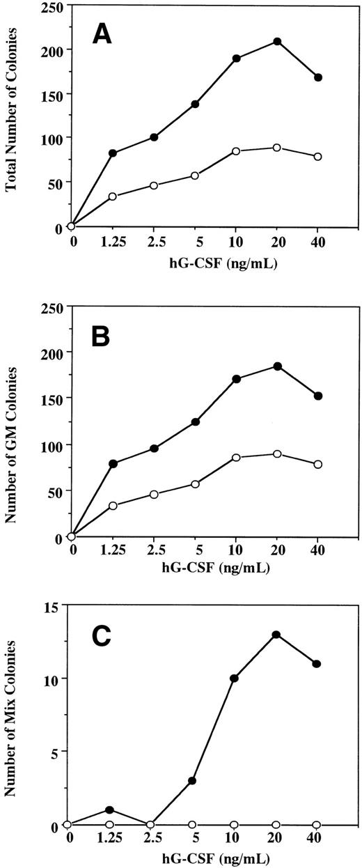 Fig. 4. A dose-response study for the effect of hG-CSF on the formation of total (A), GM (B), and mix/blast colonies (C) by 1 × 105 BM cells of hG-CSFR-Tg mouse (•) and littermate (○). Representative data from the two separate experiments are shown.